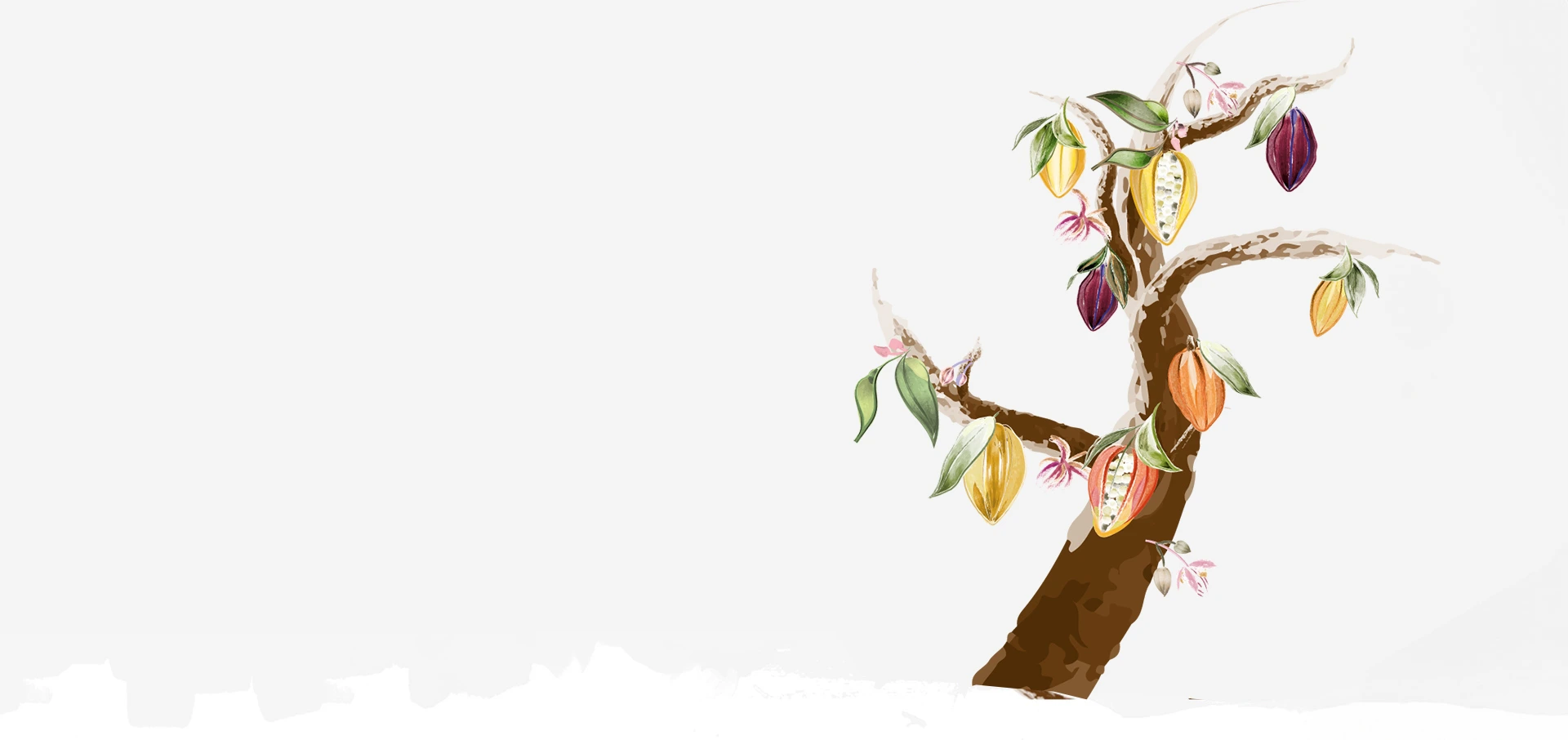 S láskou a vášní se rodí Vysoce kvalitní čokoláda